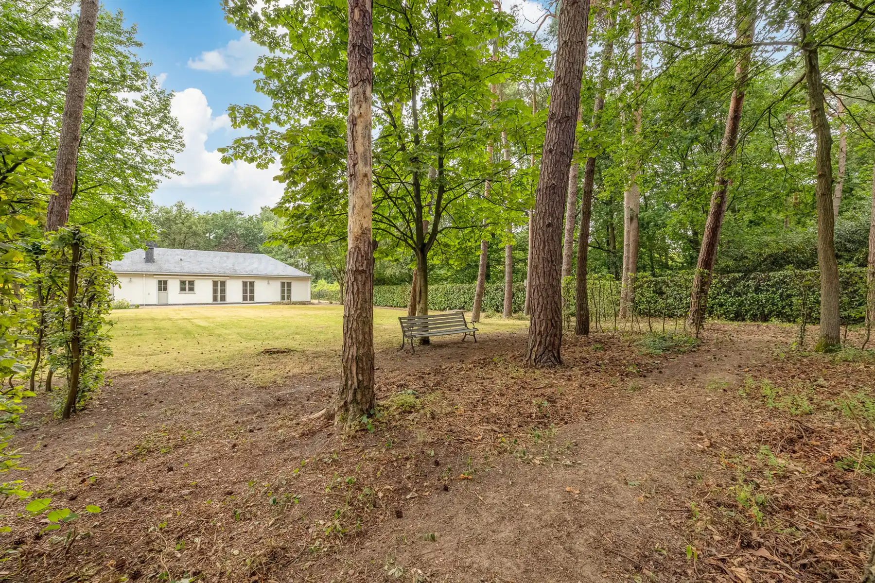 Rustig gelegen te renoveren gelijkvloerse villa op 2265 m² foto 2