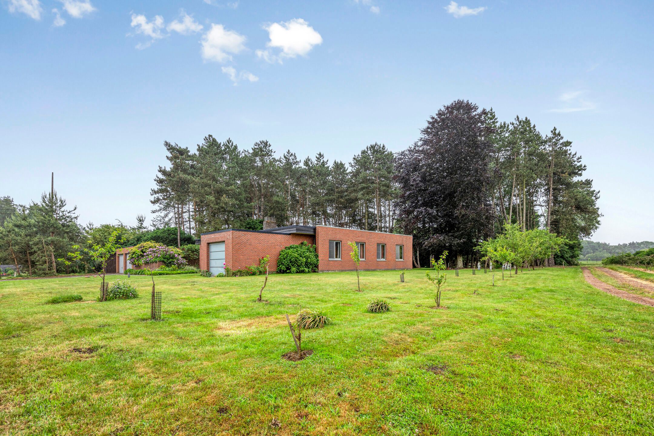 Prachtige gelijkvloerse woning op groot perceel foto 30