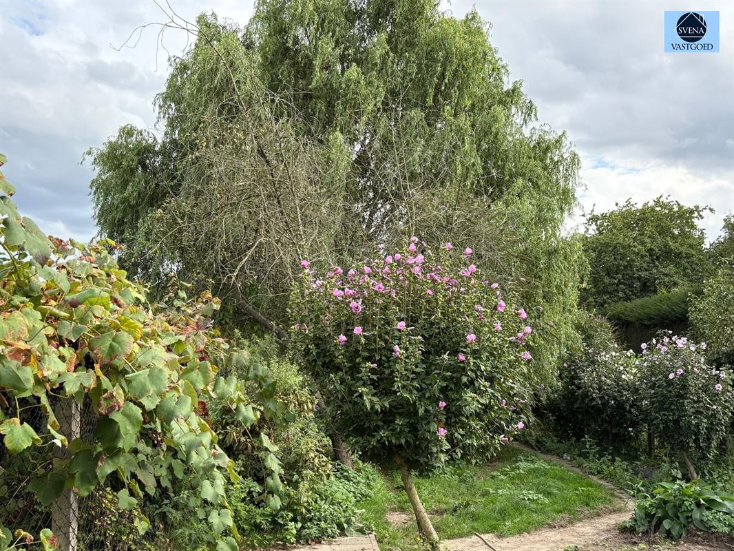RUIME KARAKTERWONING MET GROENE OASE IN ZARLARDINGE foto 12