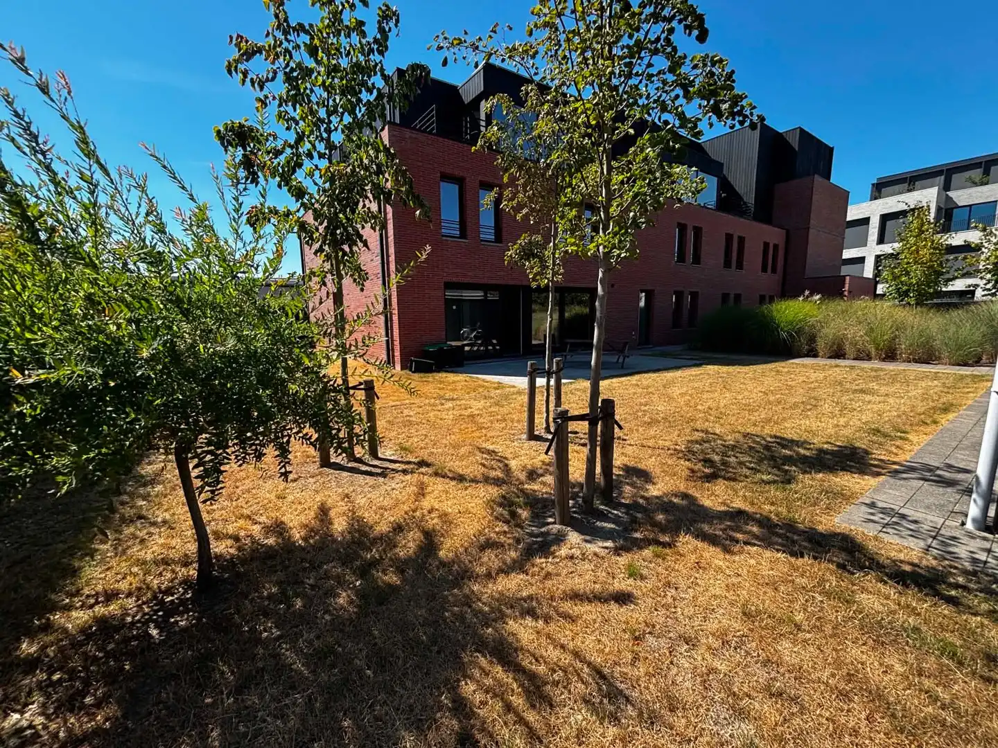 Residentie 'T Hoge 11! foto 3