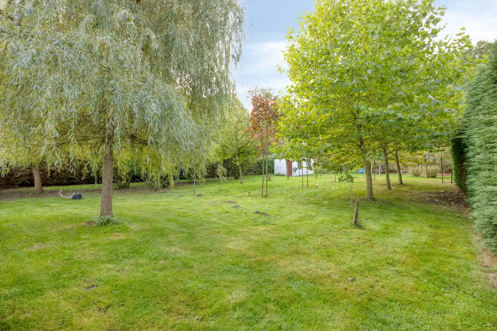 Prima onderhouden en ruime villa in Mol op een perceel van ca 30a ! foto 34