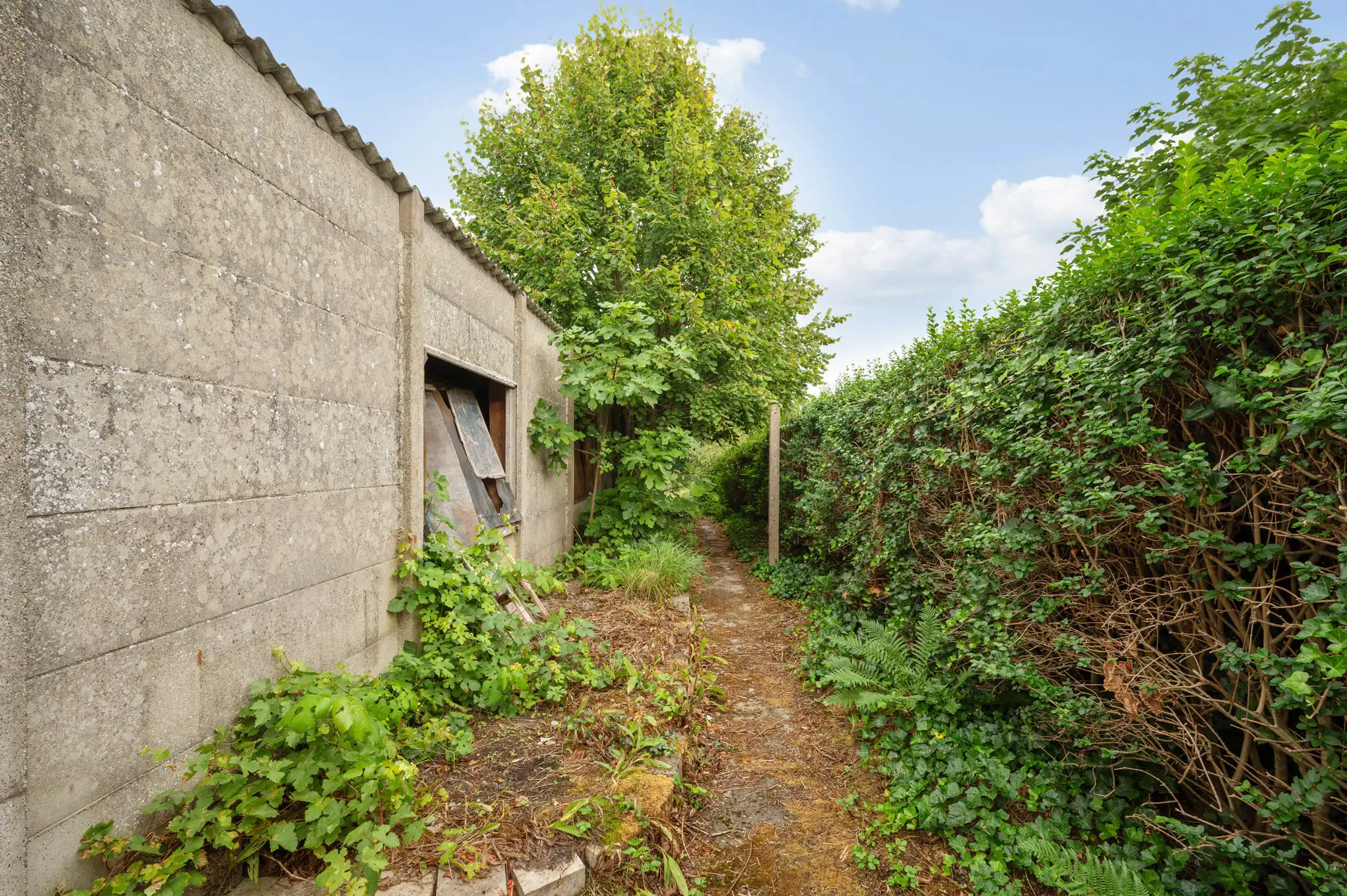 Huis te koop foto 20