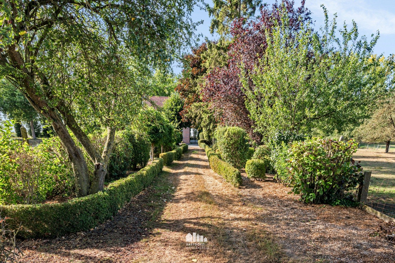 Woning met prachtig open zicht op tuin/weide en achterliggende velden – perceel van 1,67 HA foto 8