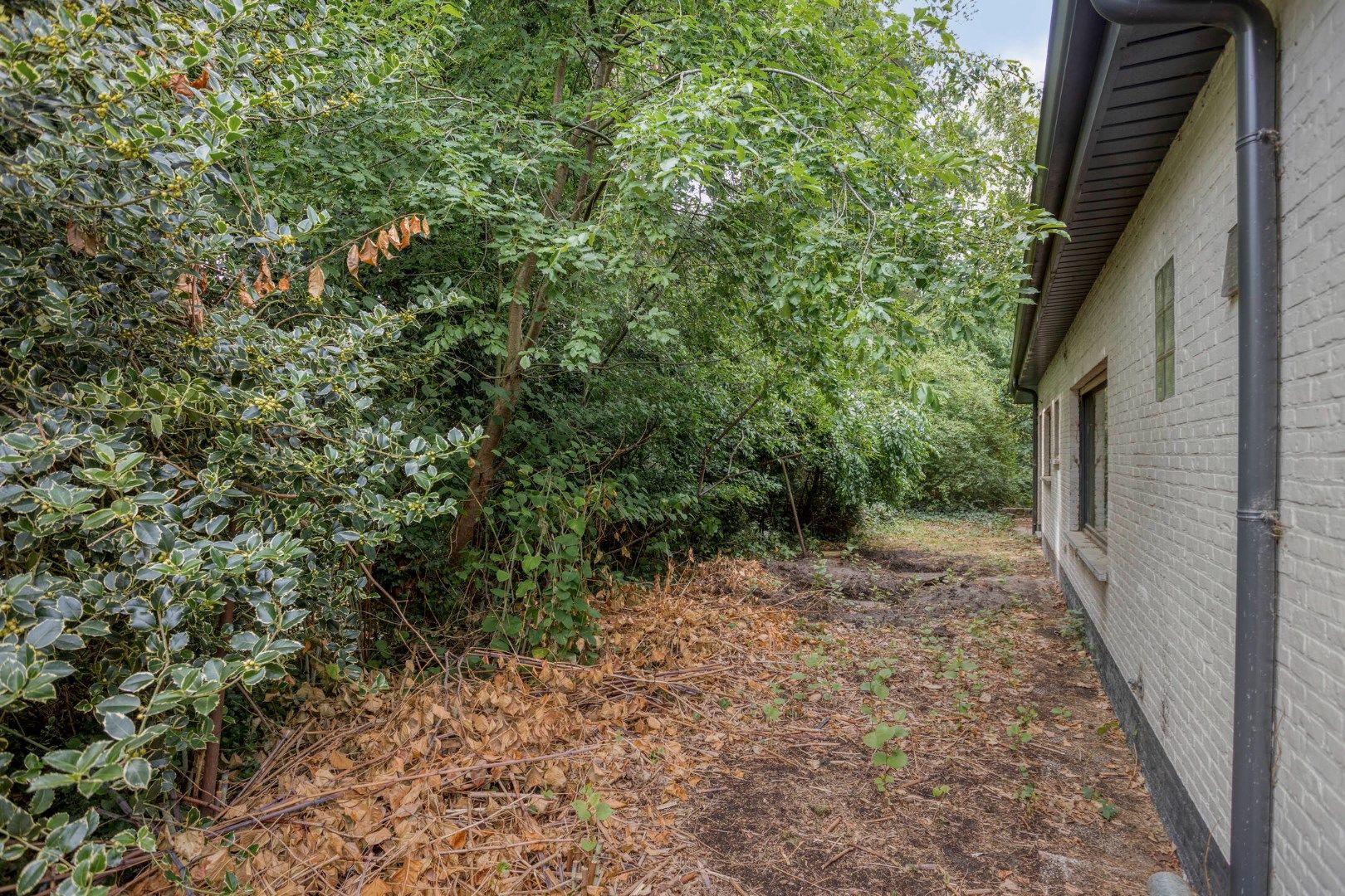 Te renoveren / te slopen woning op een uniek gelegen perceel van 1.693 m² ! foto 14