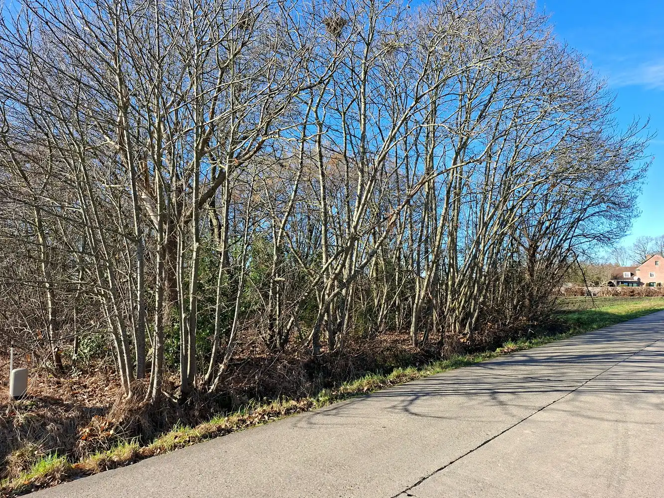 Prachtige bouwgrond open bebouwing 1297 m². foto 4