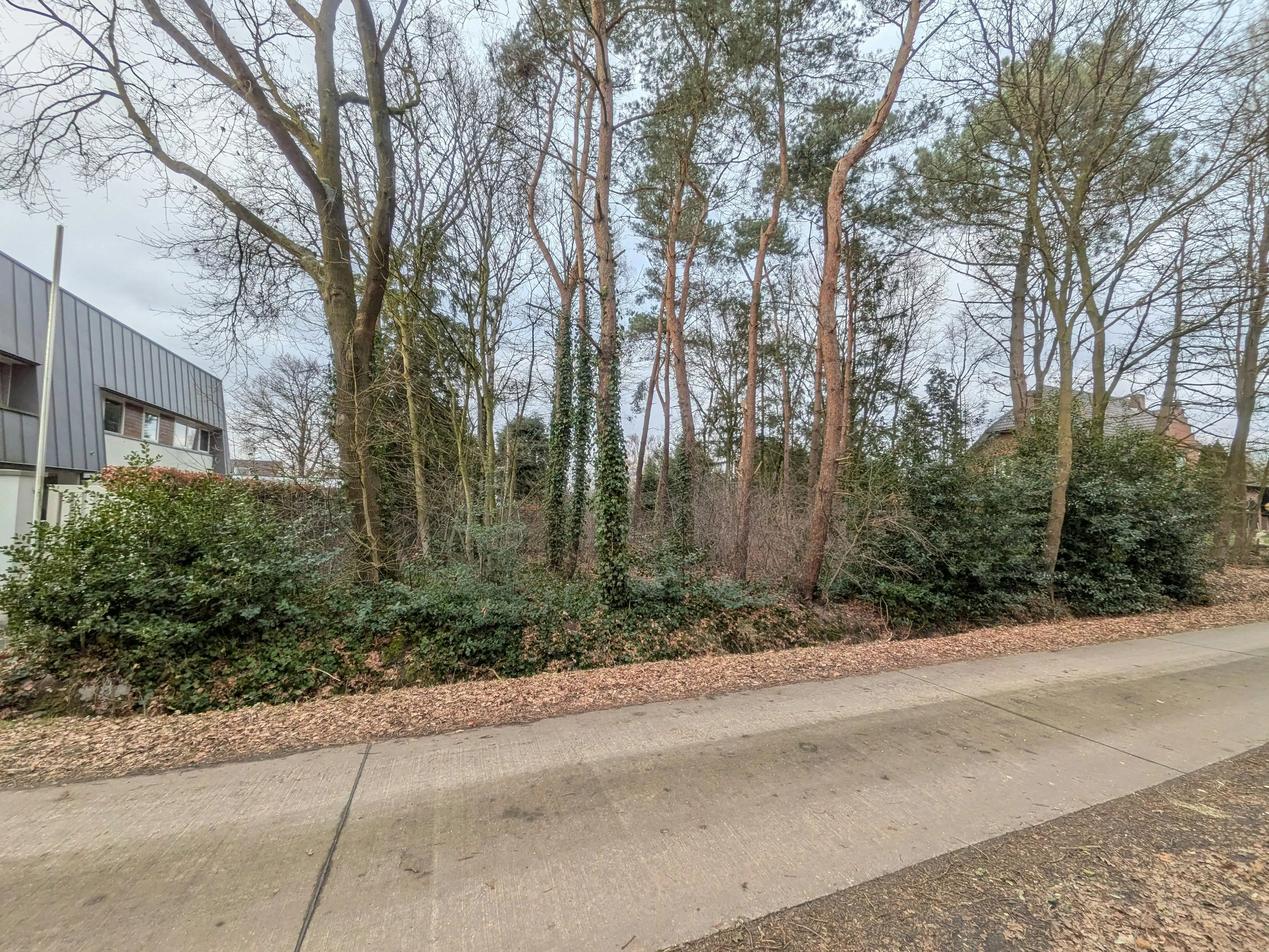 Villagrond van 14 are, 35m breed, te koop in Ravels/Poppel foto 7