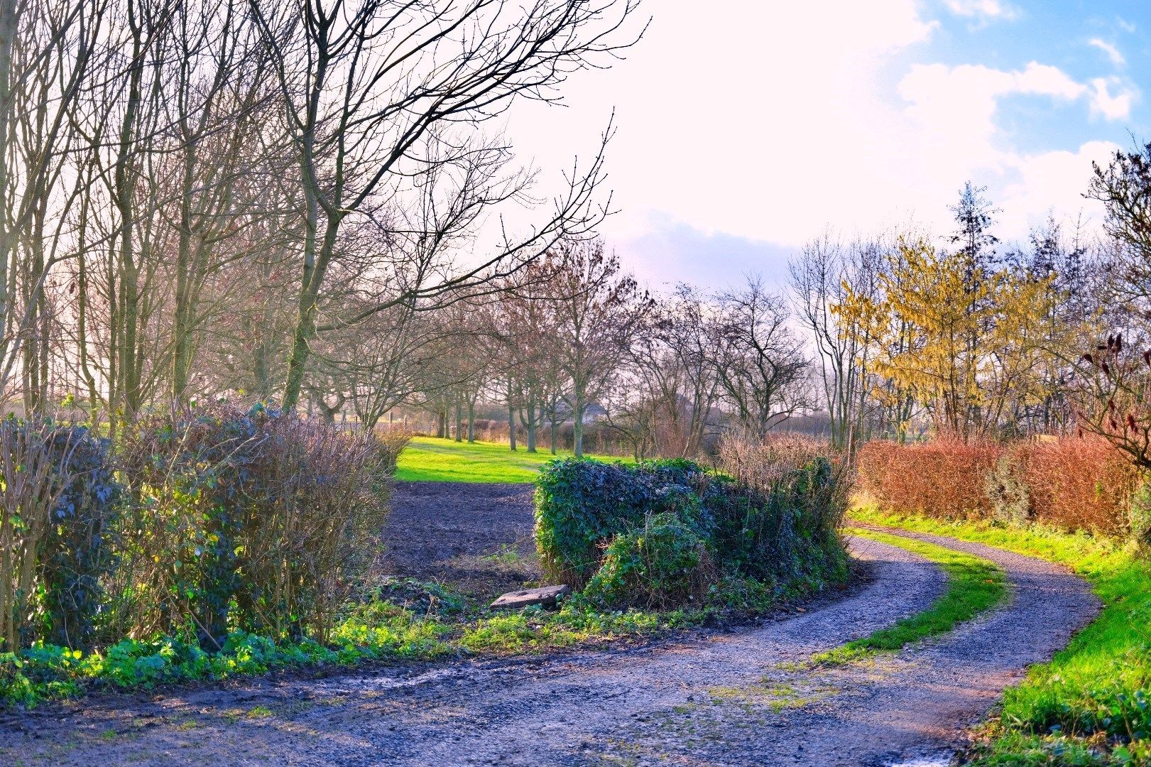 Woonboerderij met boerderijwoning en woonschuur foto 31