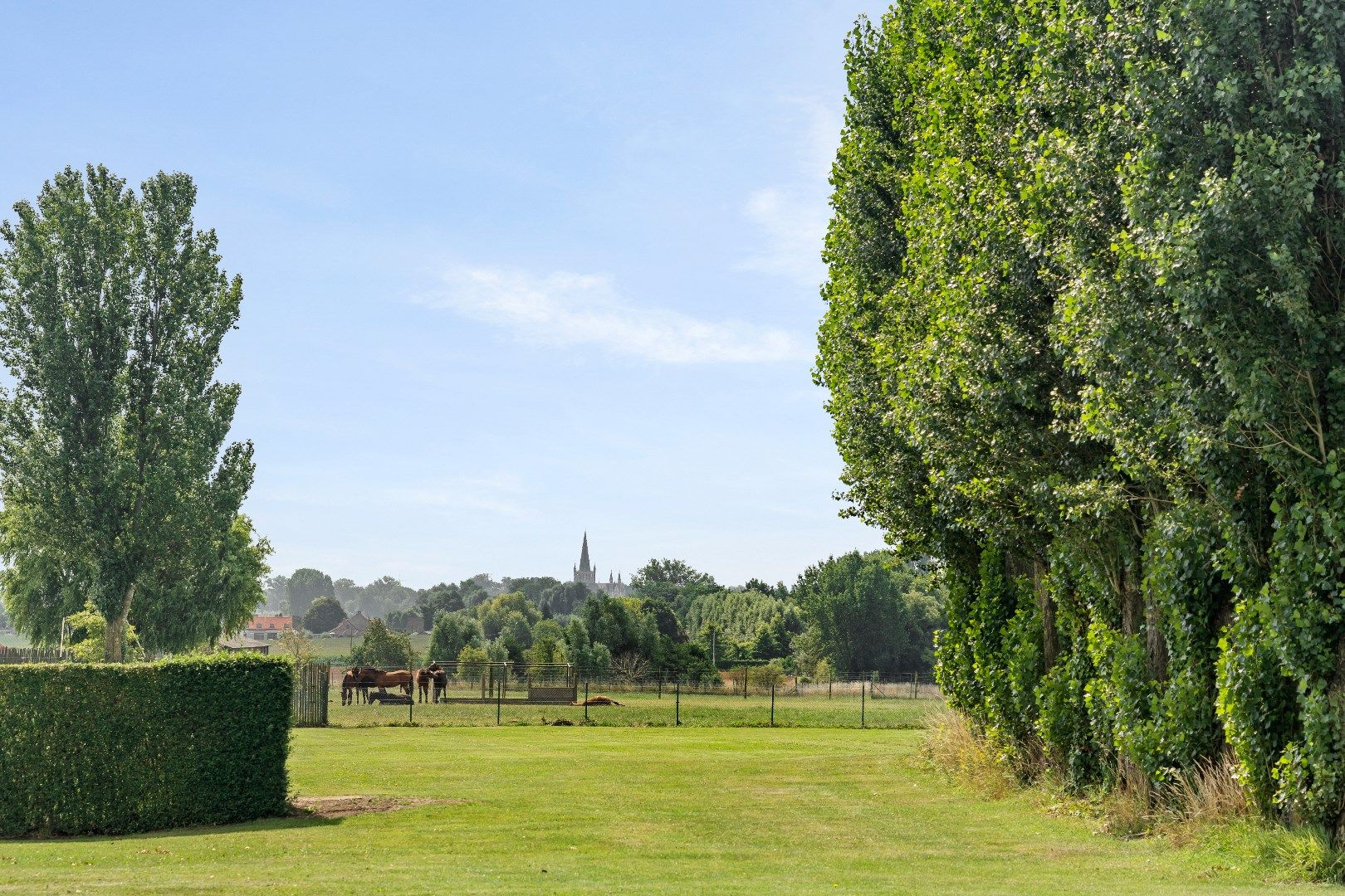 Landelijke woning met ruime loods en grote verzorgde tuin in Moorslede/Slypskapelle foto 14