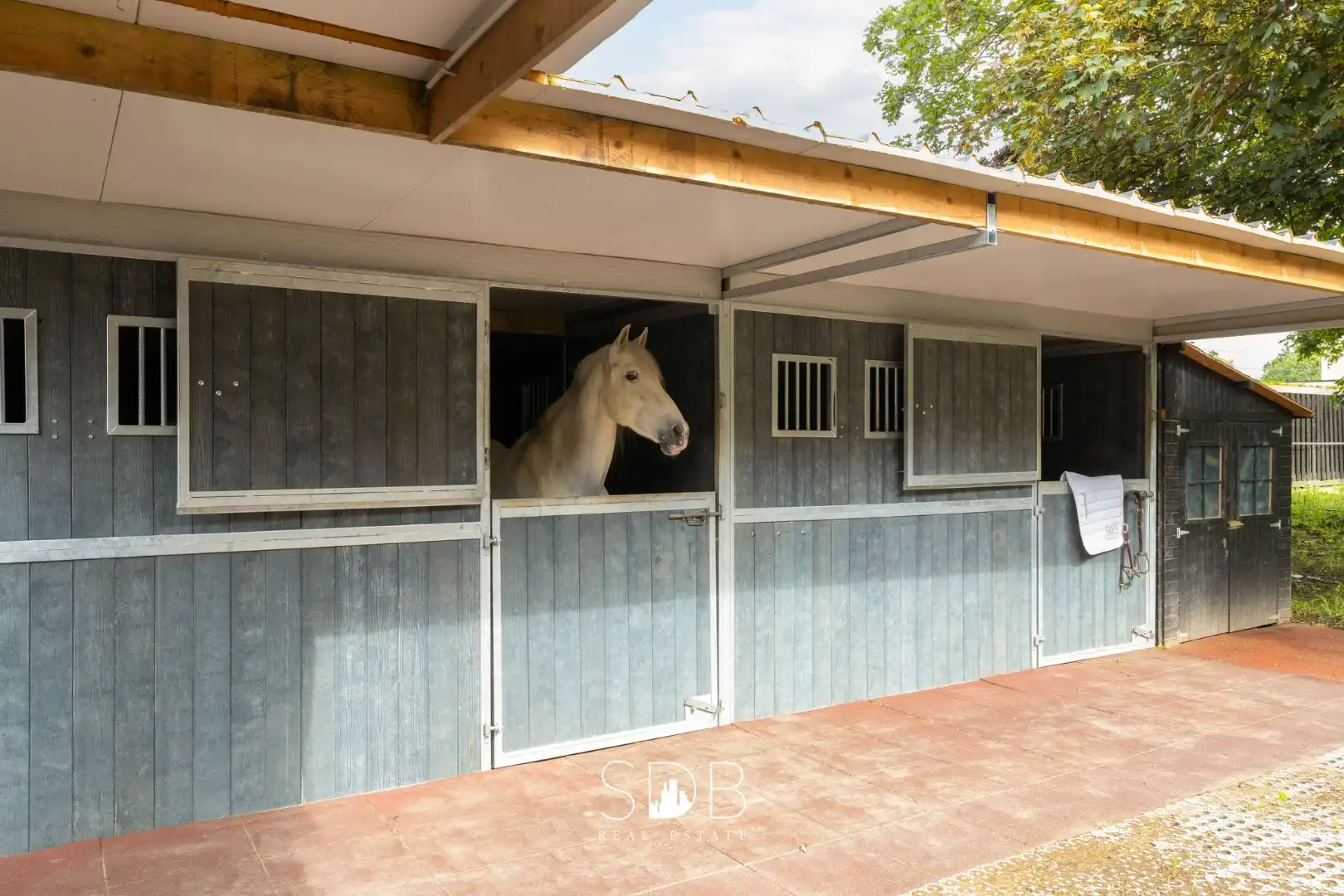 Prachtige villa met zwembad, paardenstallen, paddock en grasland op 1,3HA foto 37