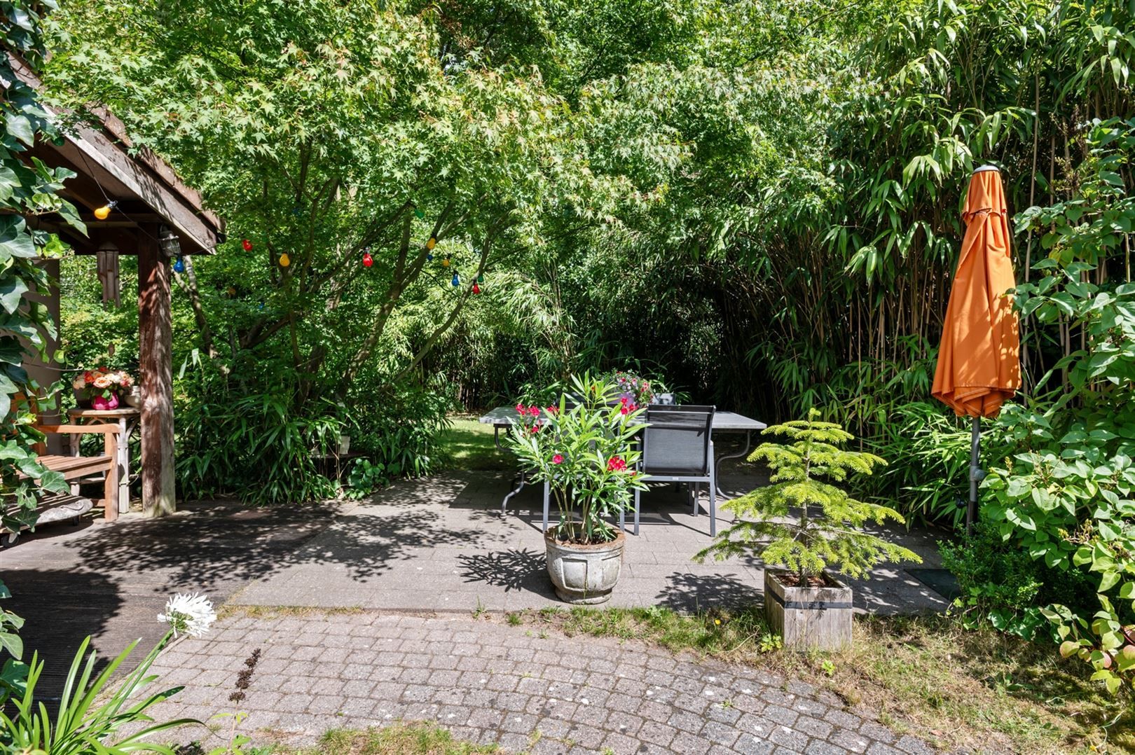 Gezellige burgerwoning aan Hof de Bist. foto 7