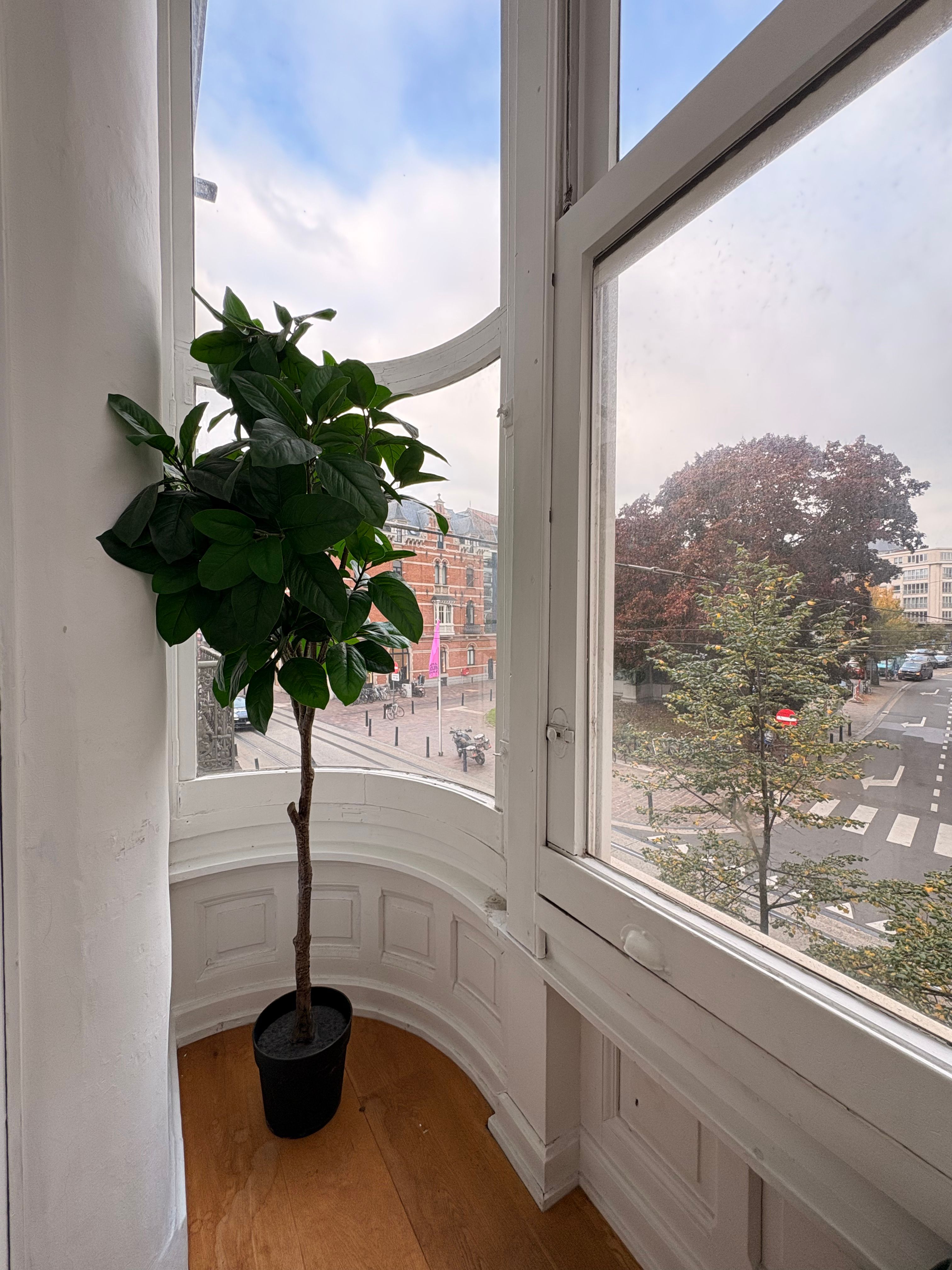 Handelspand met drie studio’s te koop op topligging in Gent foto 10