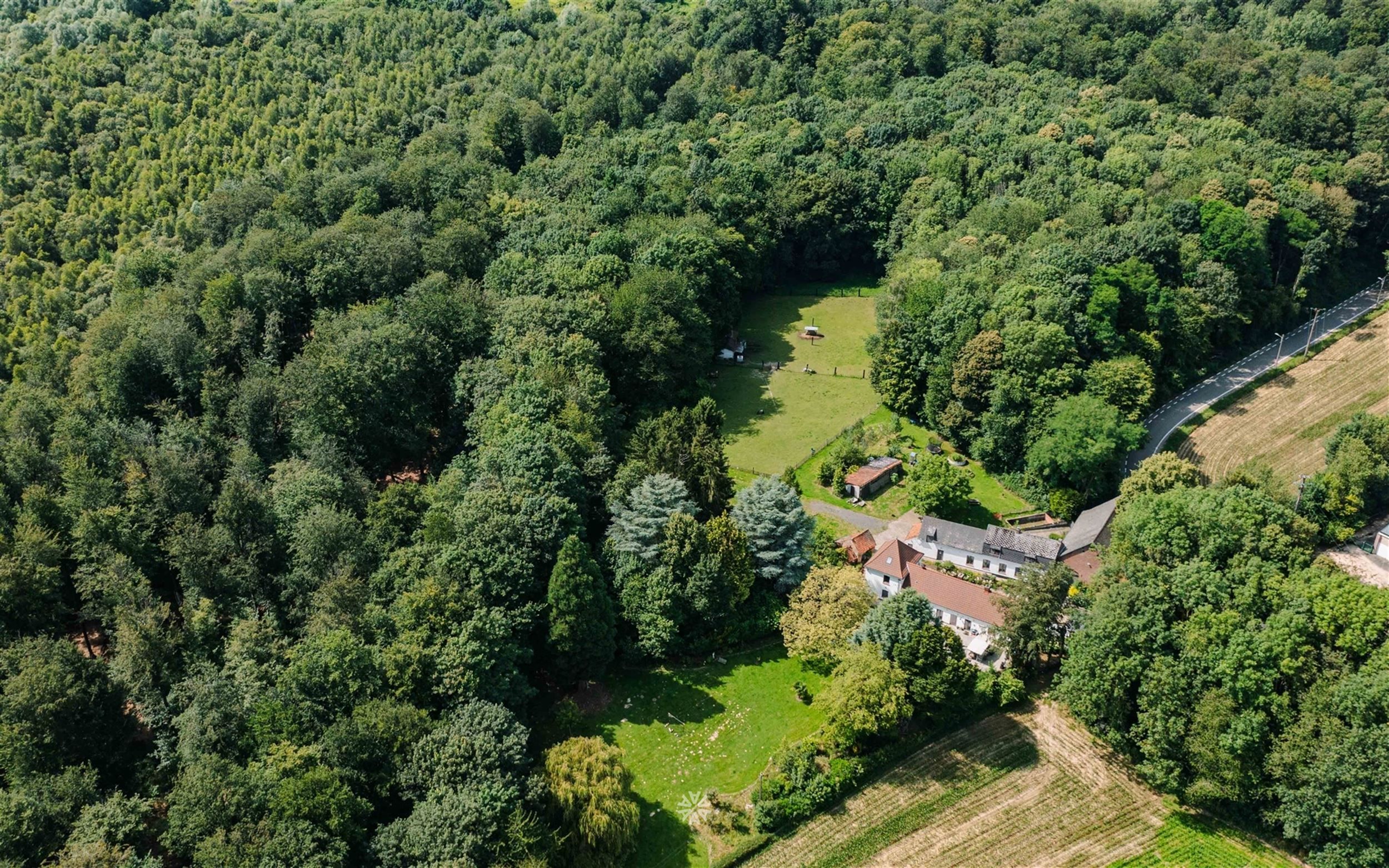 Uniek gelegen landgoed met gite midden de bossen foto 23