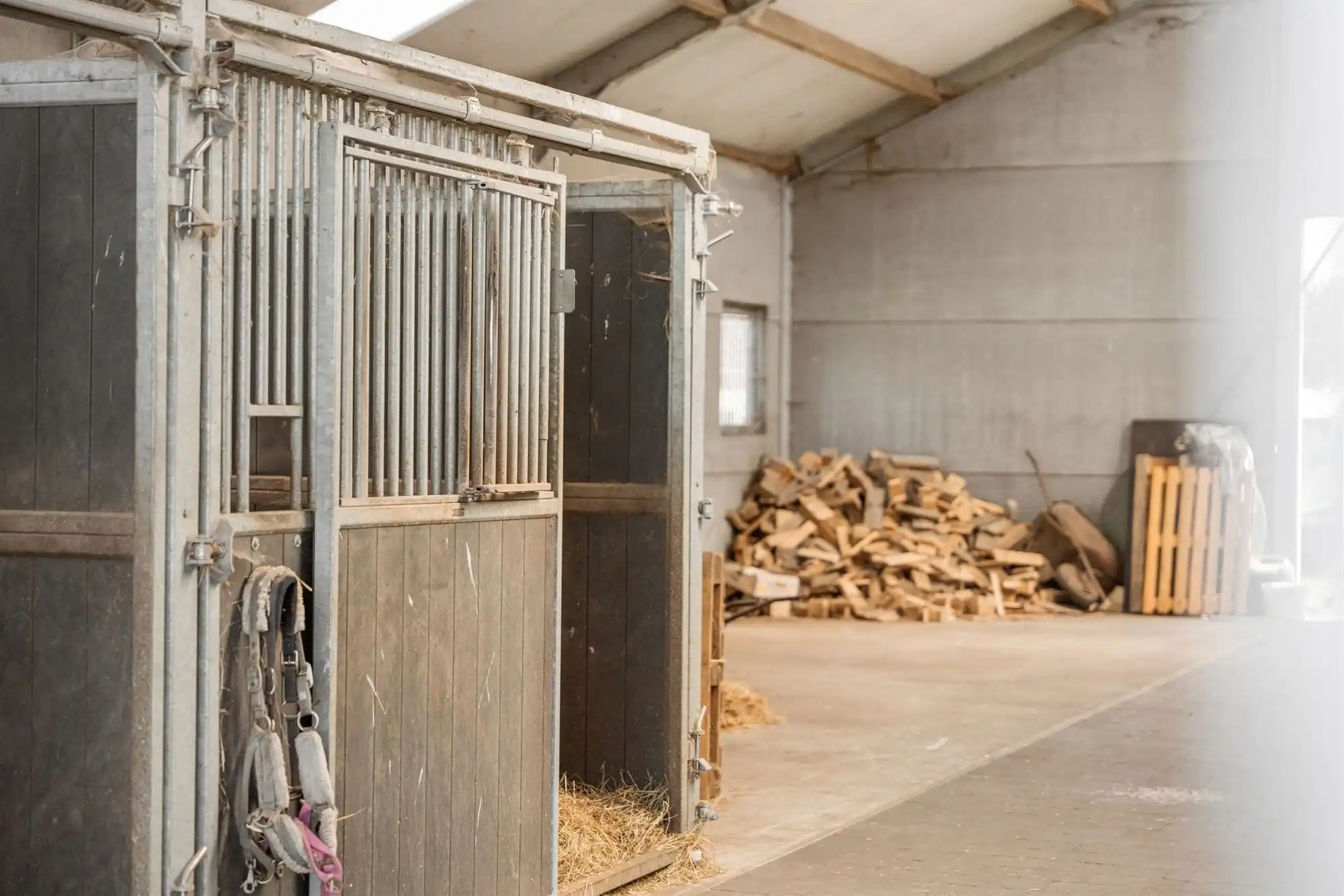 Unieke eigendom van 14.139m² voor paarden- of dierenliefhebbers of wie droomt van ruimte  foto 16