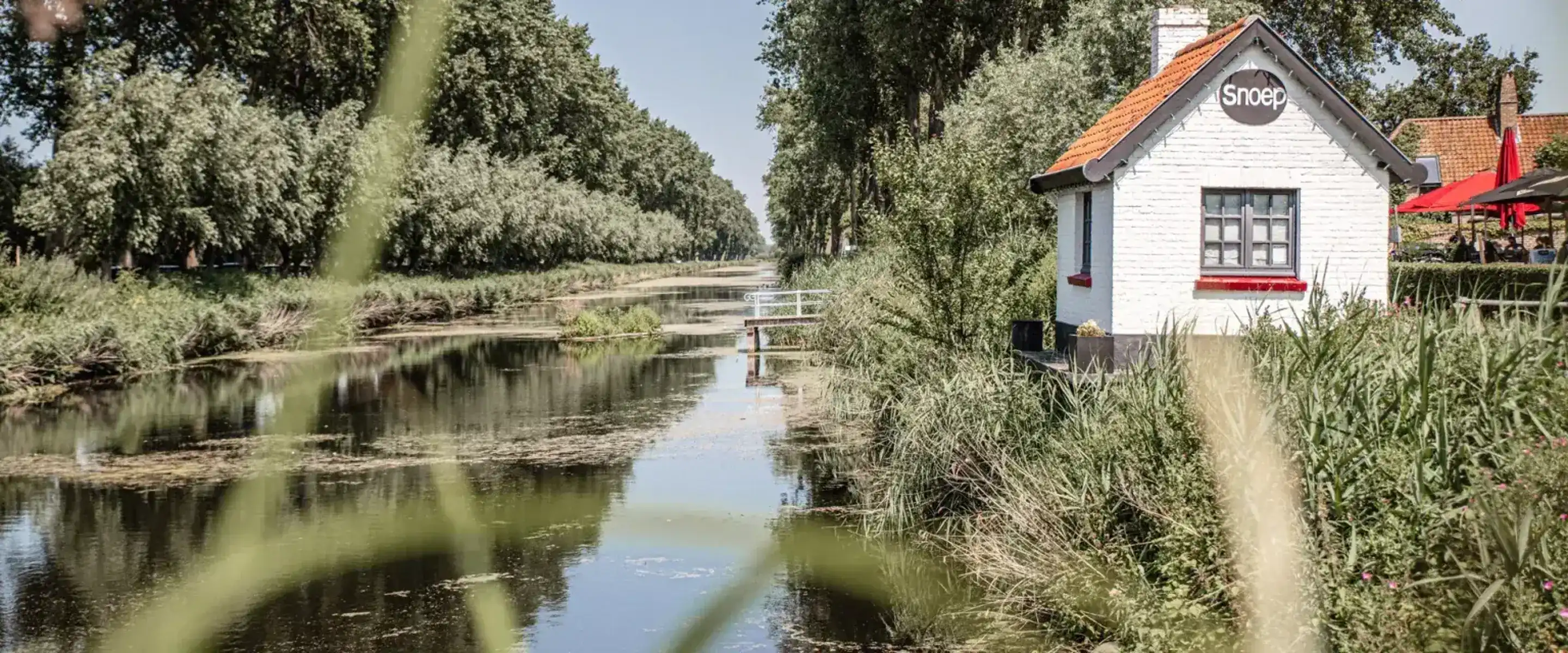 Ruime bouwgrond in Sijsele-Damme  foto 3