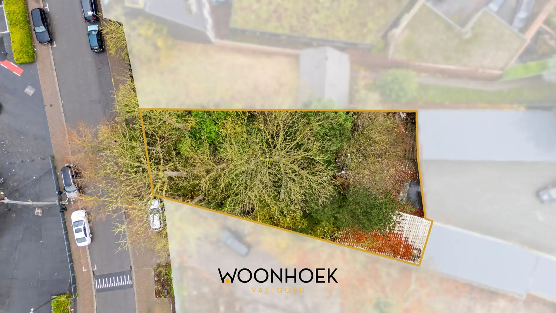 IN OPTIE! foto {{pictureIndex}}