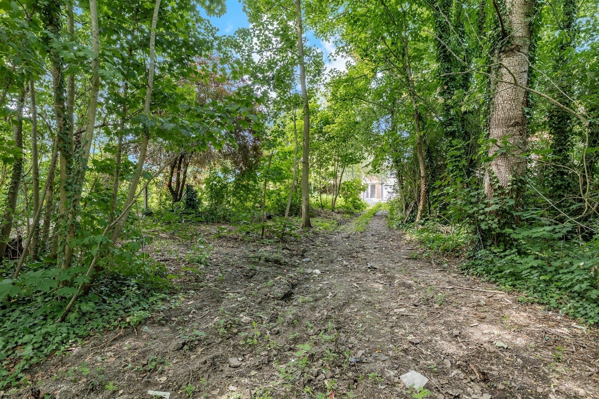 Halfopen renovatiewoning met  verdere mogelijkheden in centrum Wetteren foto 30