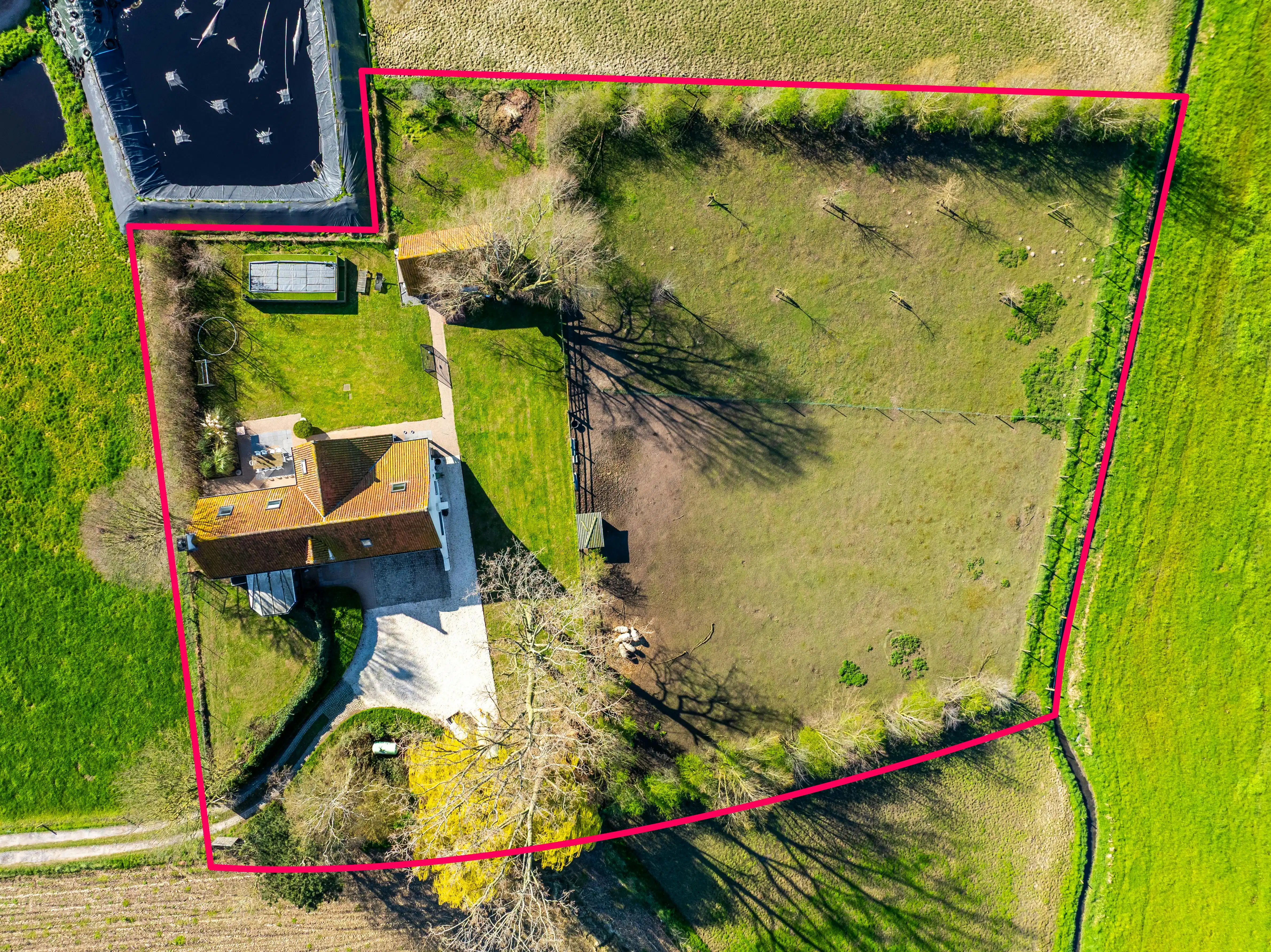 Landelijk alleenstaand huis op 4.806m² in Aarsele foto 20