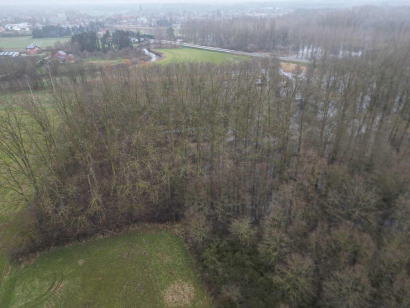 Percelen bos te Rotselaar. foto 7