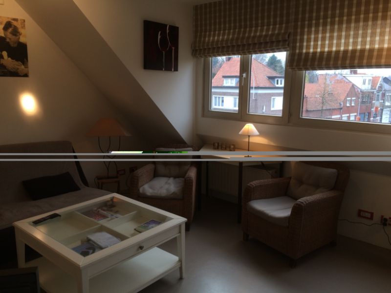 Ruime eigendom met veel ruimte , veel mogelijkheden, instap-klaar! foto 3