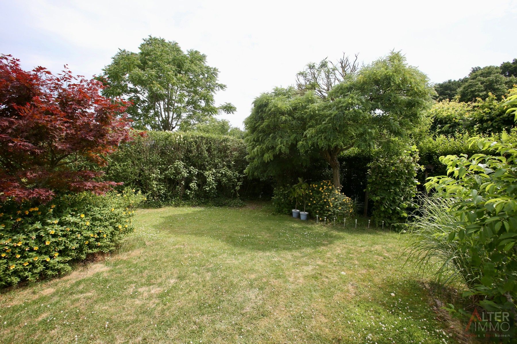 Instapklare woning met 4/5 slaapkamers op ca. 8 are! foto 27