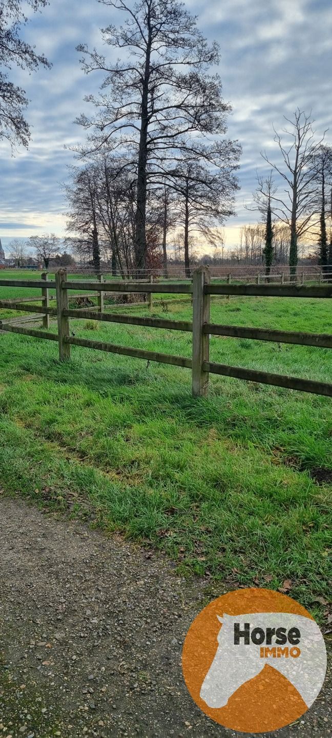 BILZEN-HOESELT - Weide met schuilstal op +/- 83a foto 5