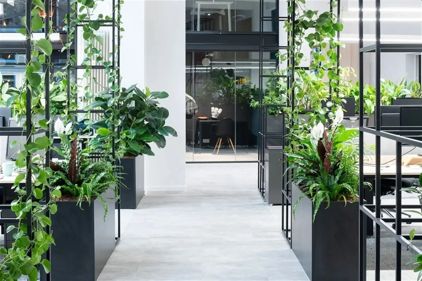 Kantoor in oud-herenhuis-stijl te centrum Antwerpen foto 11