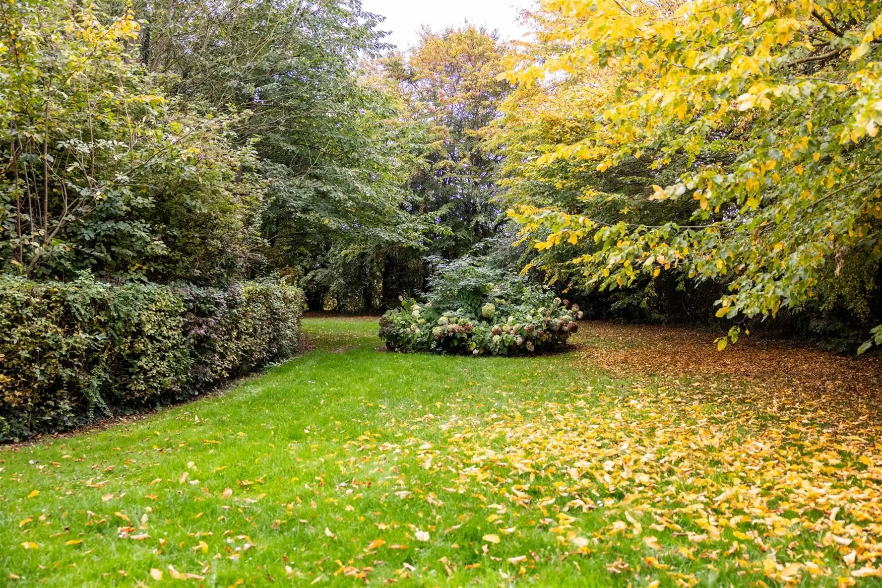 Uniek eigendom te koop: de Zwadderkotmolen. foto 27