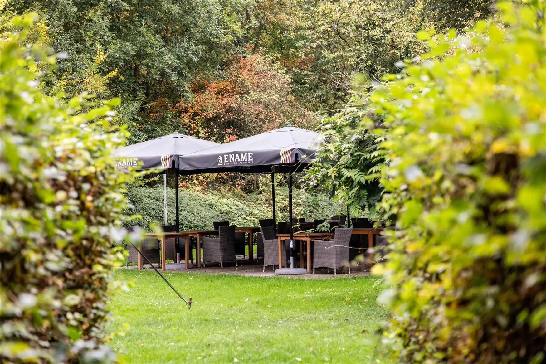 Uniek eigendom te koop: de Zwadderkotmolen. foto 27