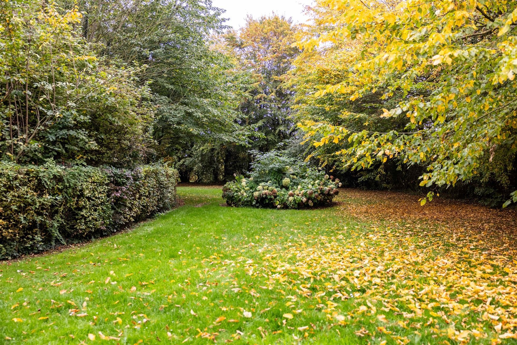 Uniek eigendom te koop: de Zwadderkotmolen. foto 27