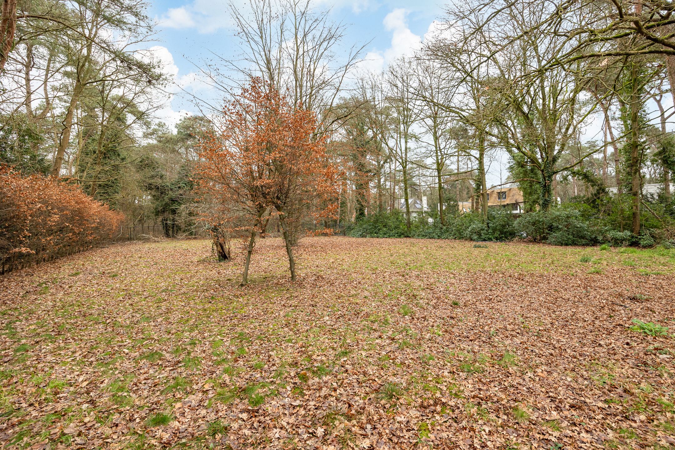 Mooi renovatieproject op terrein van 8204 m2 in Koningshof foto 13