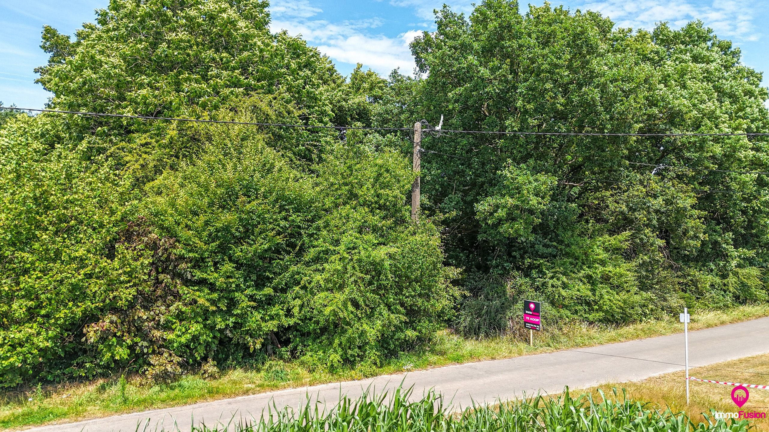 Bouwgrond op toplocatie met grondopp. van 5a91ca in Hechtel! foto 4