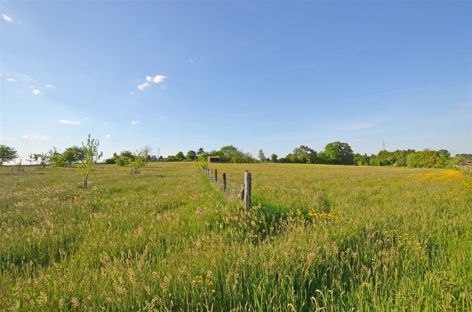 Volledig gerenoveerd landhuis op 1,44 ha tussen de velden foto 45