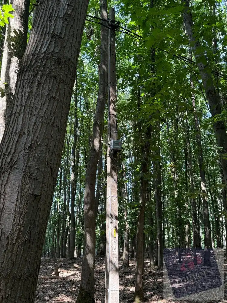 Bosperceel van circa 10 are in groene omgeving te Houthalen-Helchteren foto 7
