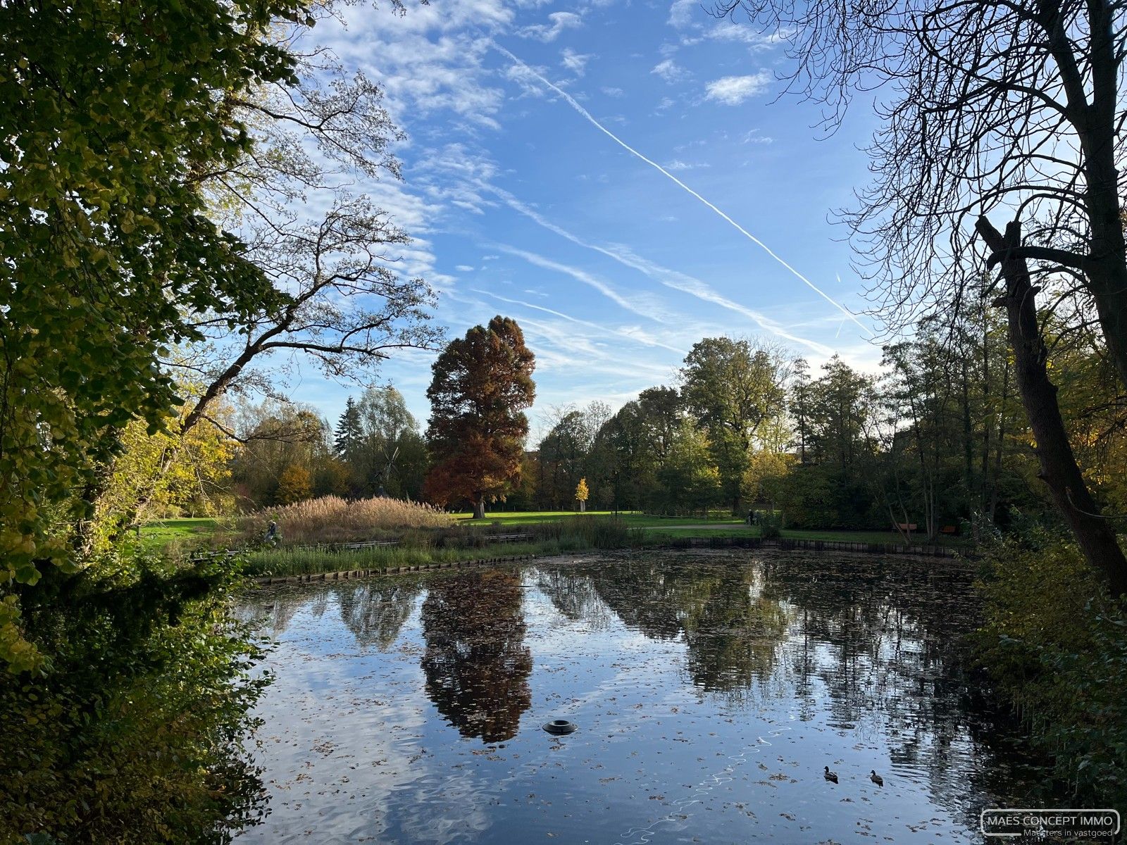 Gemeubeld appartement te huur in centrum Waregem met 2 terrassen foto 14