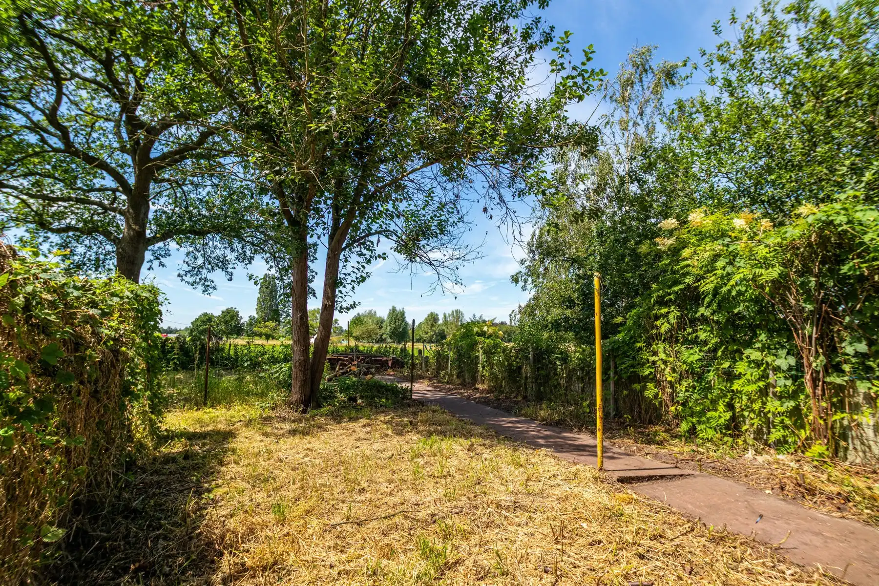 Statige woning met vrij uitzicht & vergund bijgebouw foto 26