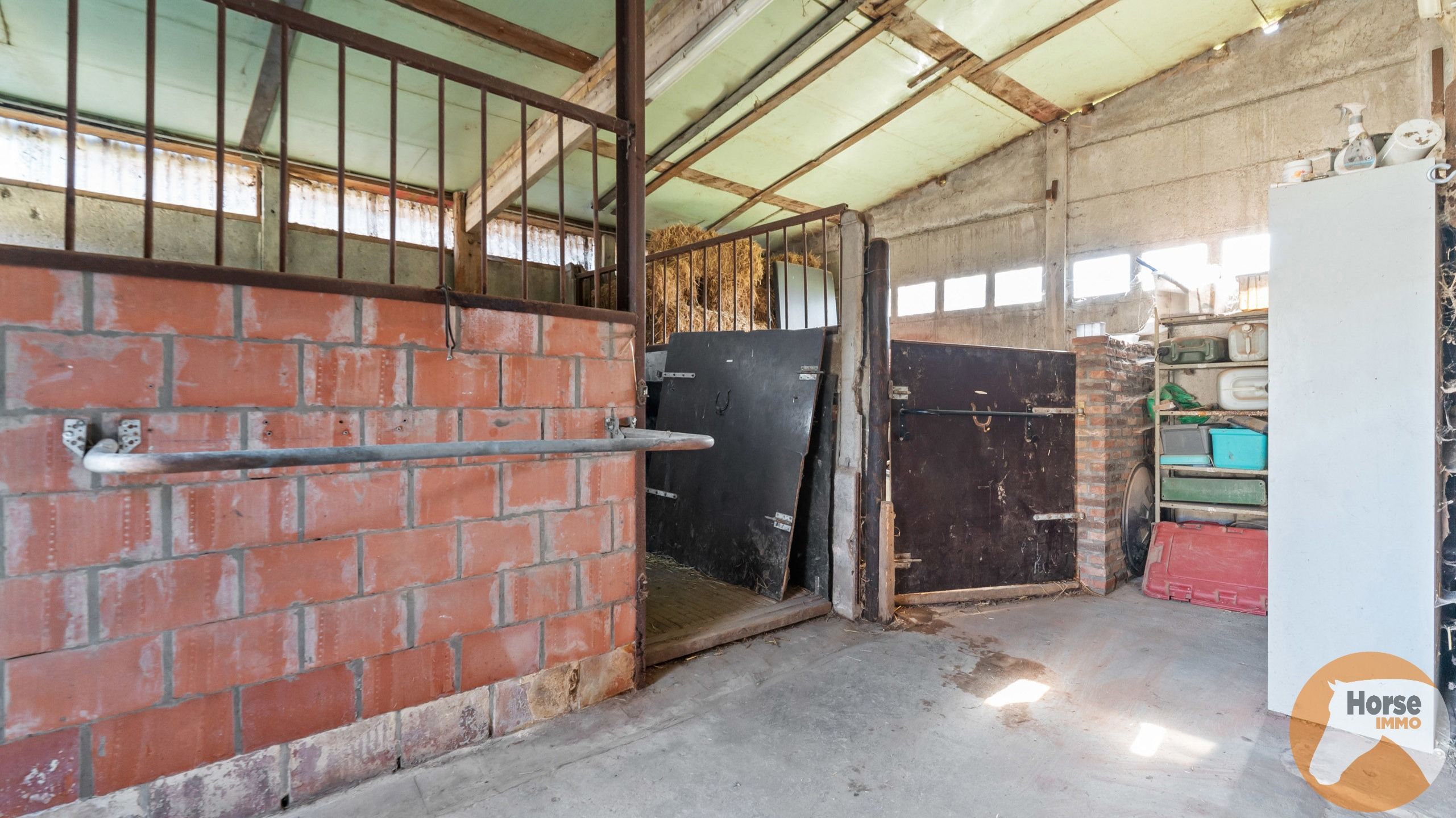 ZWALM - Hoeve met stallen en weides op +/-1,5HA foto 17