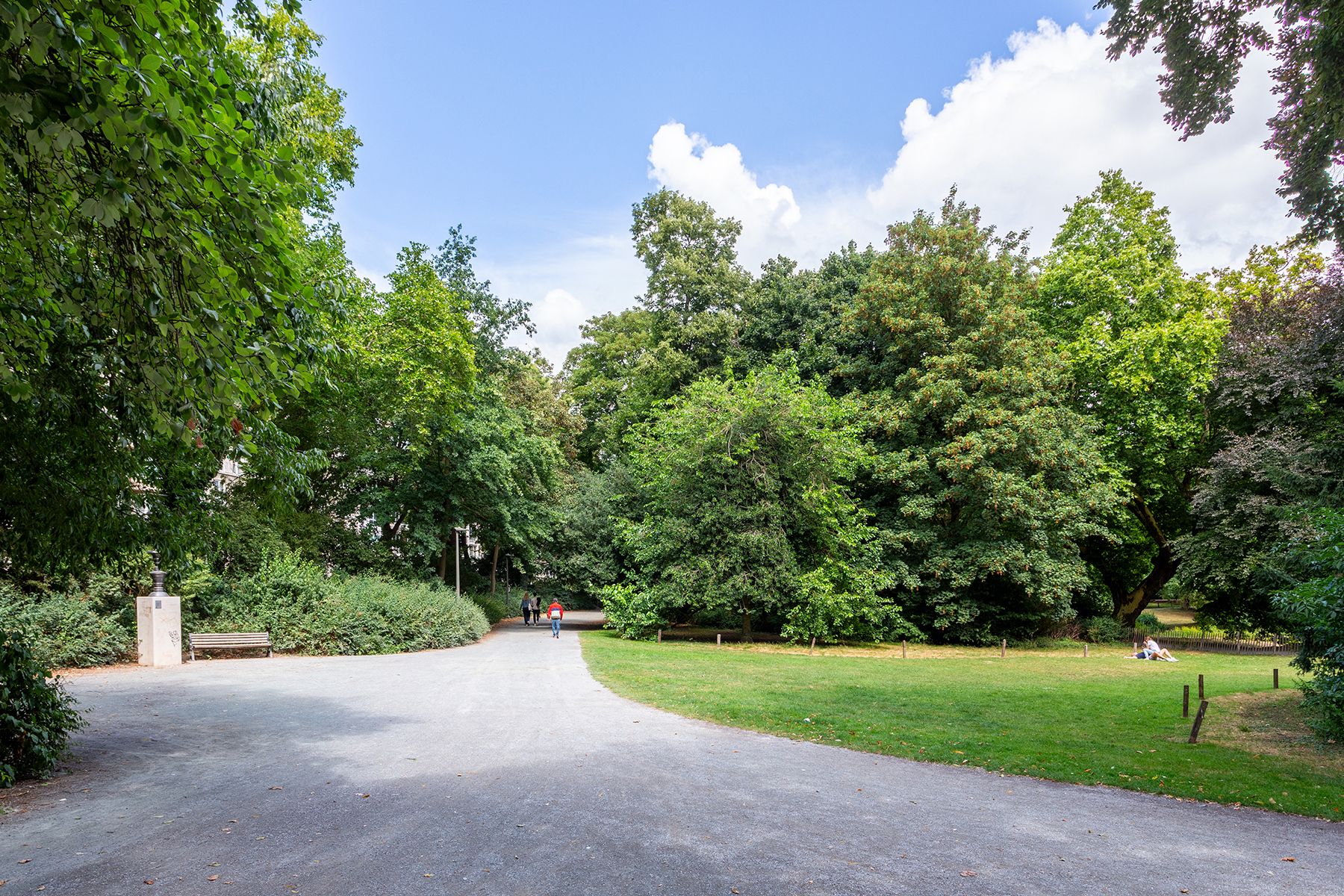 Stadspark - Ruim 3 slpk app. met terras  foto 23