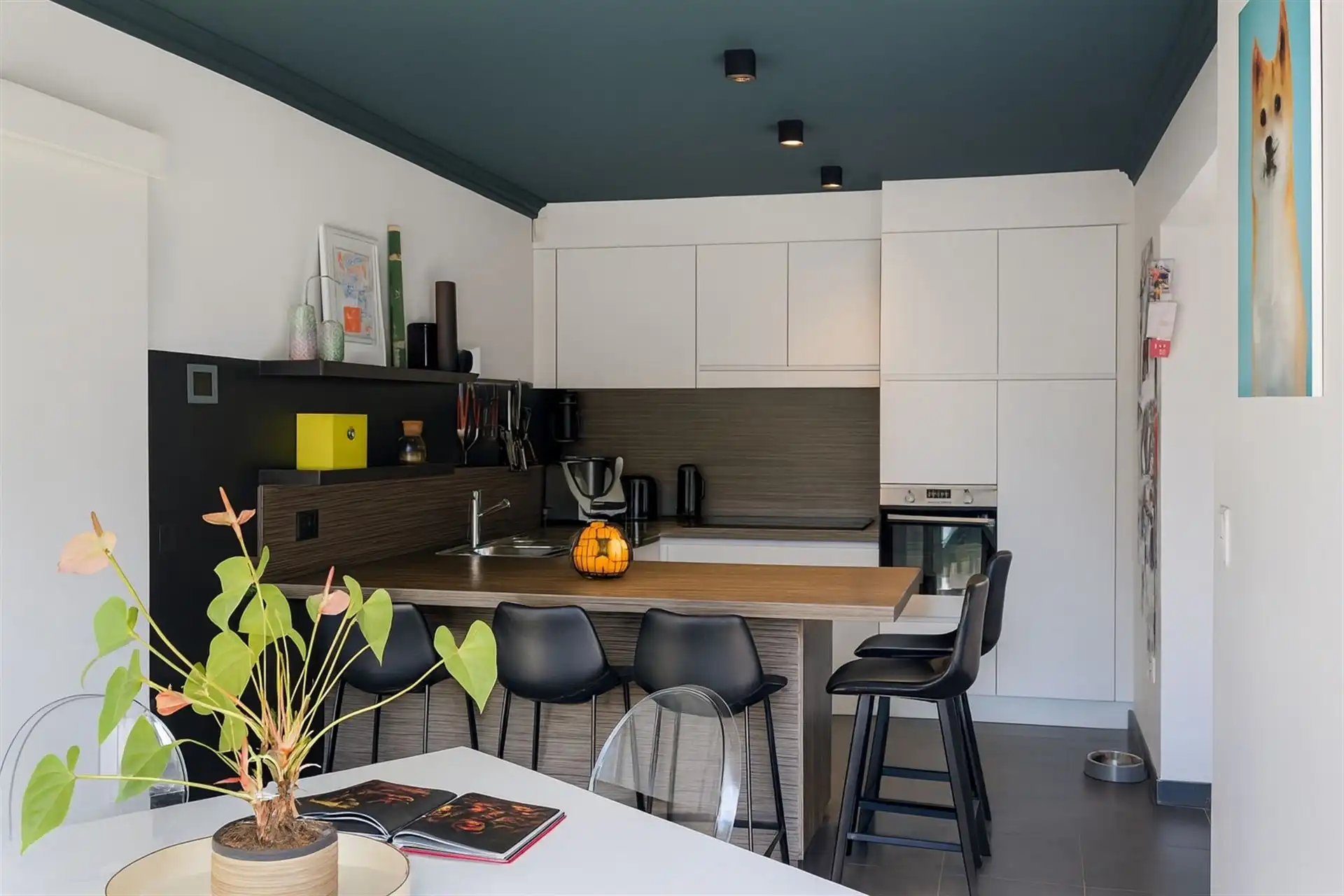 Unieke woonst met verborgen tuinoase foto 5