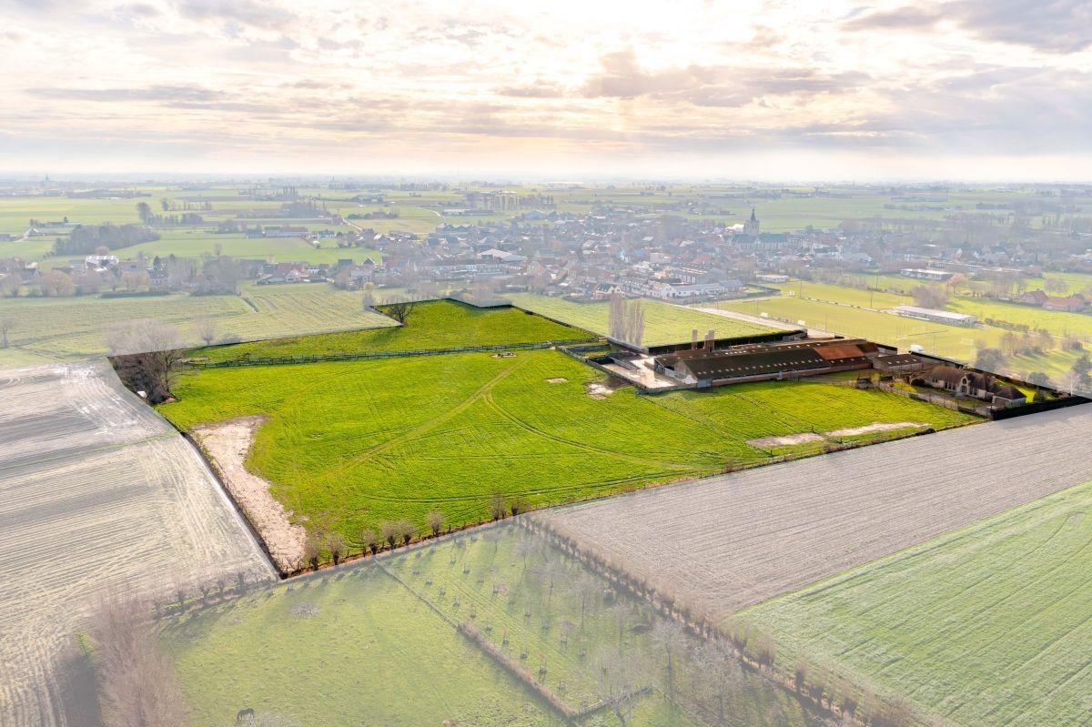 Vleesveebedrijf te koop op 5,85 ha te Alveringem foto 2
