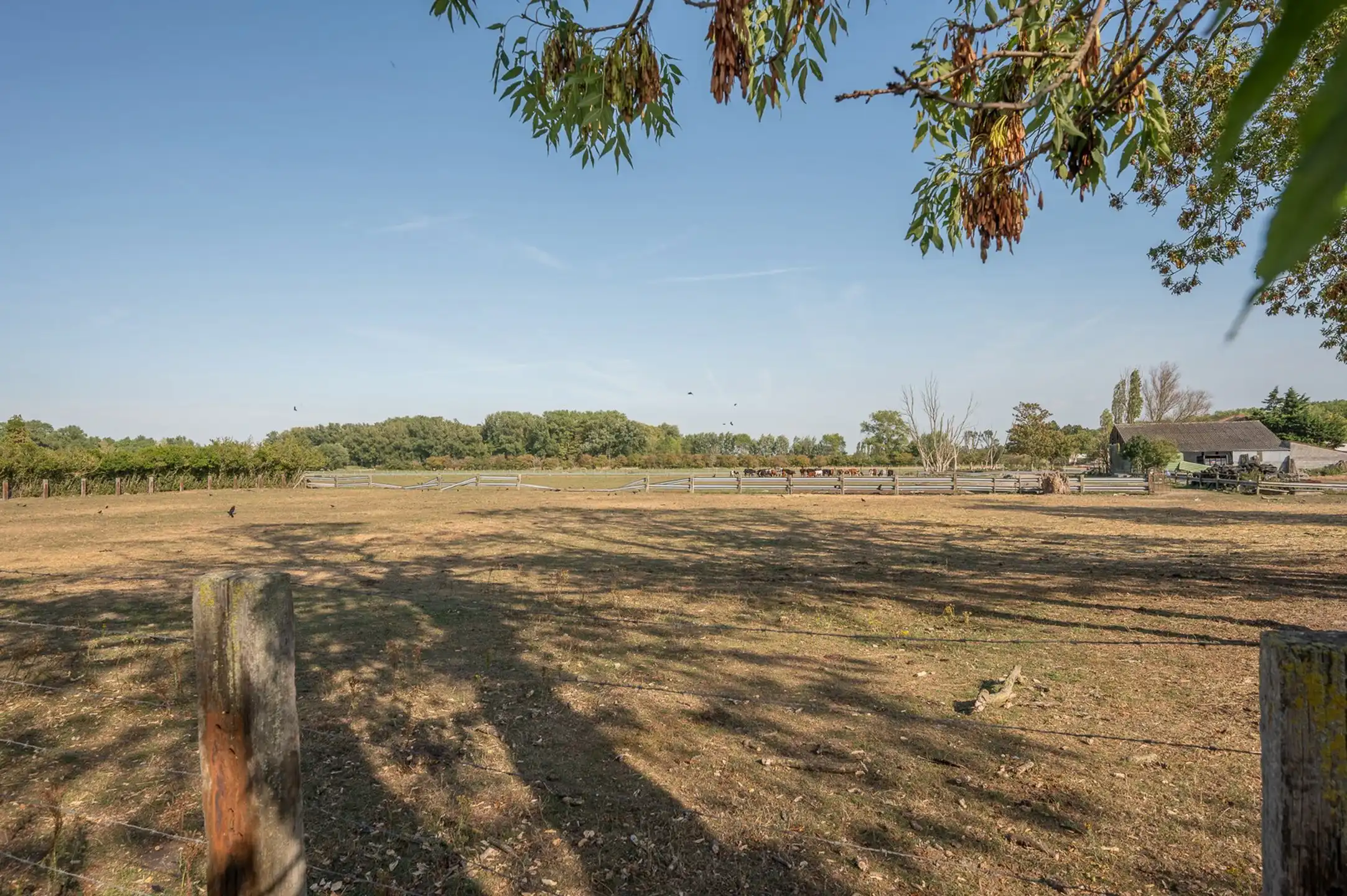 Prachtige, lichtrijke woning vlakbij het pittoreske Oosthoekplein in het Zoute op wandelafstand van de zee en het Zwin. foto 26