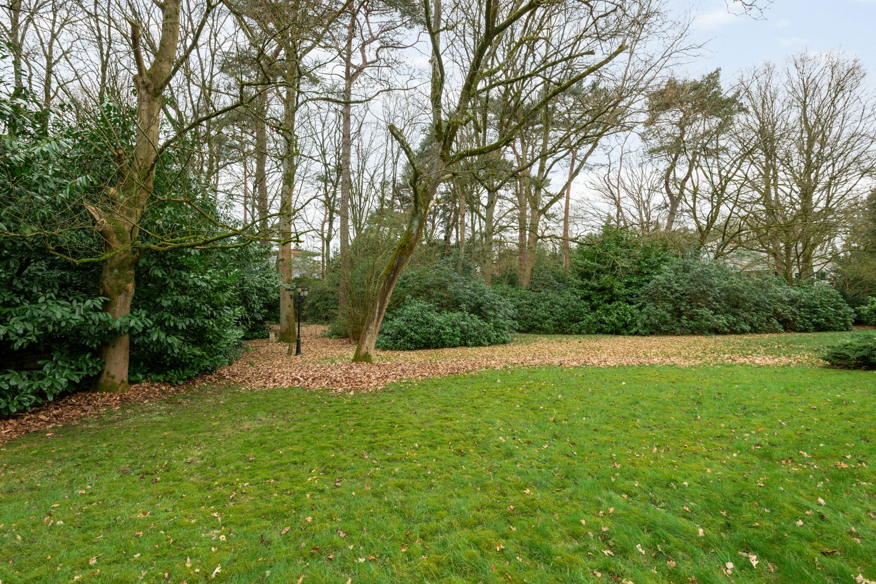 Te renoveren villa met naastgelegen bouwgrond op 6000 m². foto 33