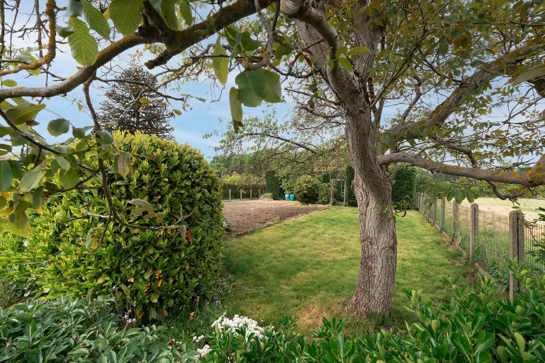 Gezellige, te renoveren woning met leuke tuin op toplocatie  foto 30