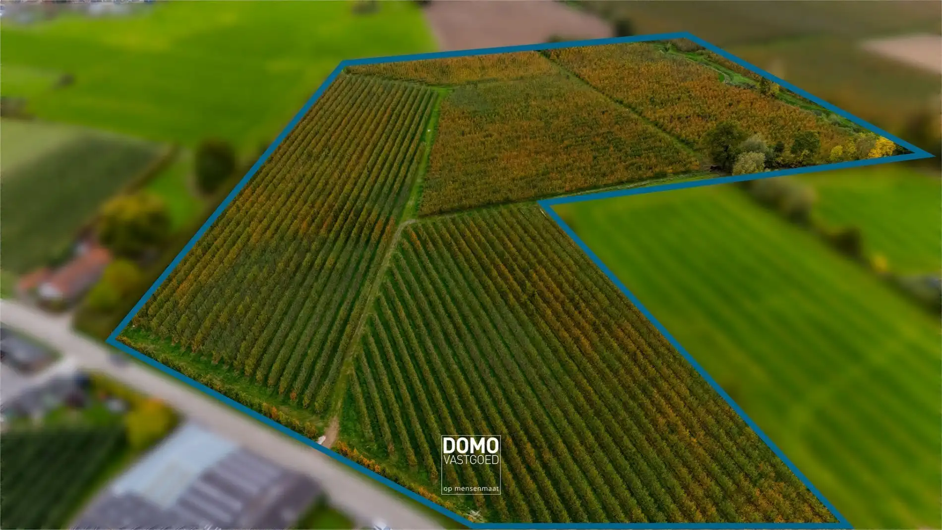 AGRARISCH GELEGEN PERCELEN BESTEMD ALS WEILAND EN BOOMGAARD TE KOOP IN HERK-DE-STAD foto 2