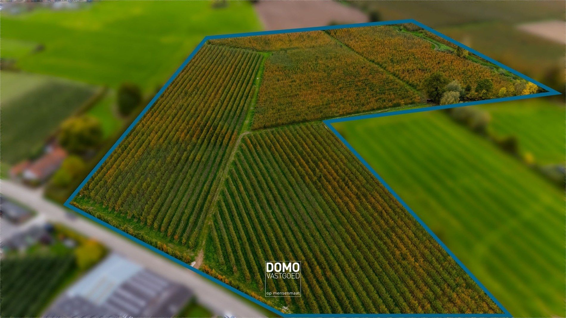 AGRARISCH GELEGEN PERCELEN BESTEMD ALS WEILAND EN BOOMGAARD TE KOOP IN HERK-DE-STAD foto 2