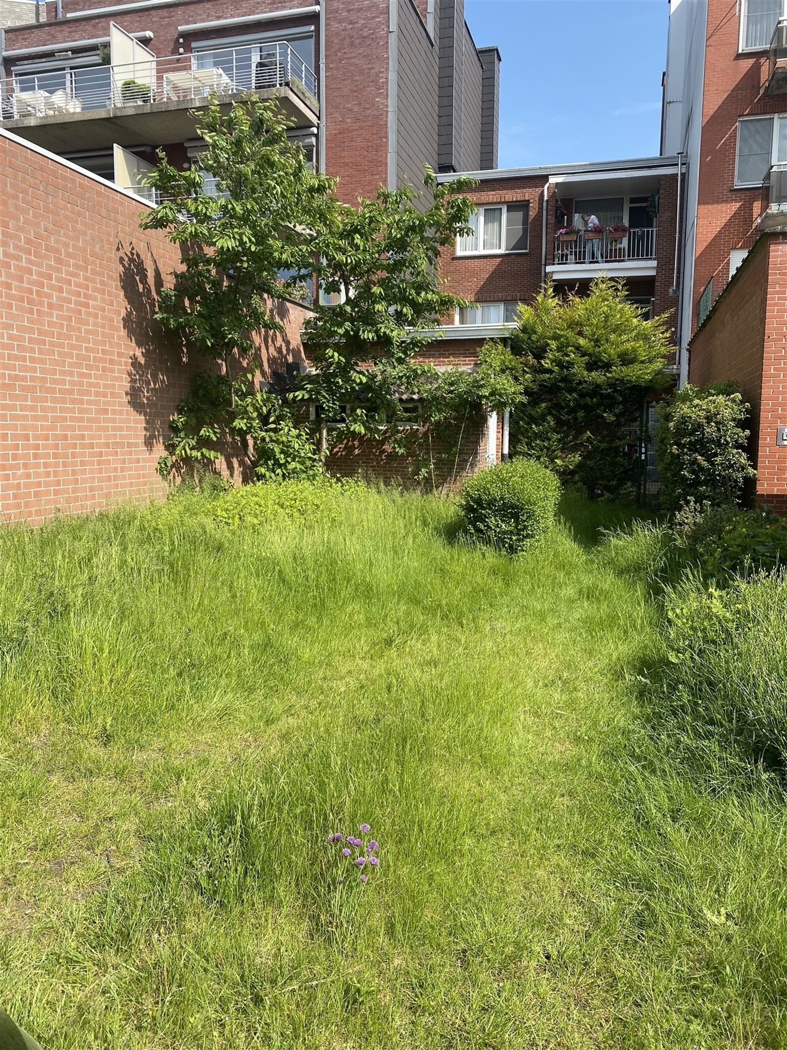 Centraal gelegen winkelpand met woonst en tuin foto 11