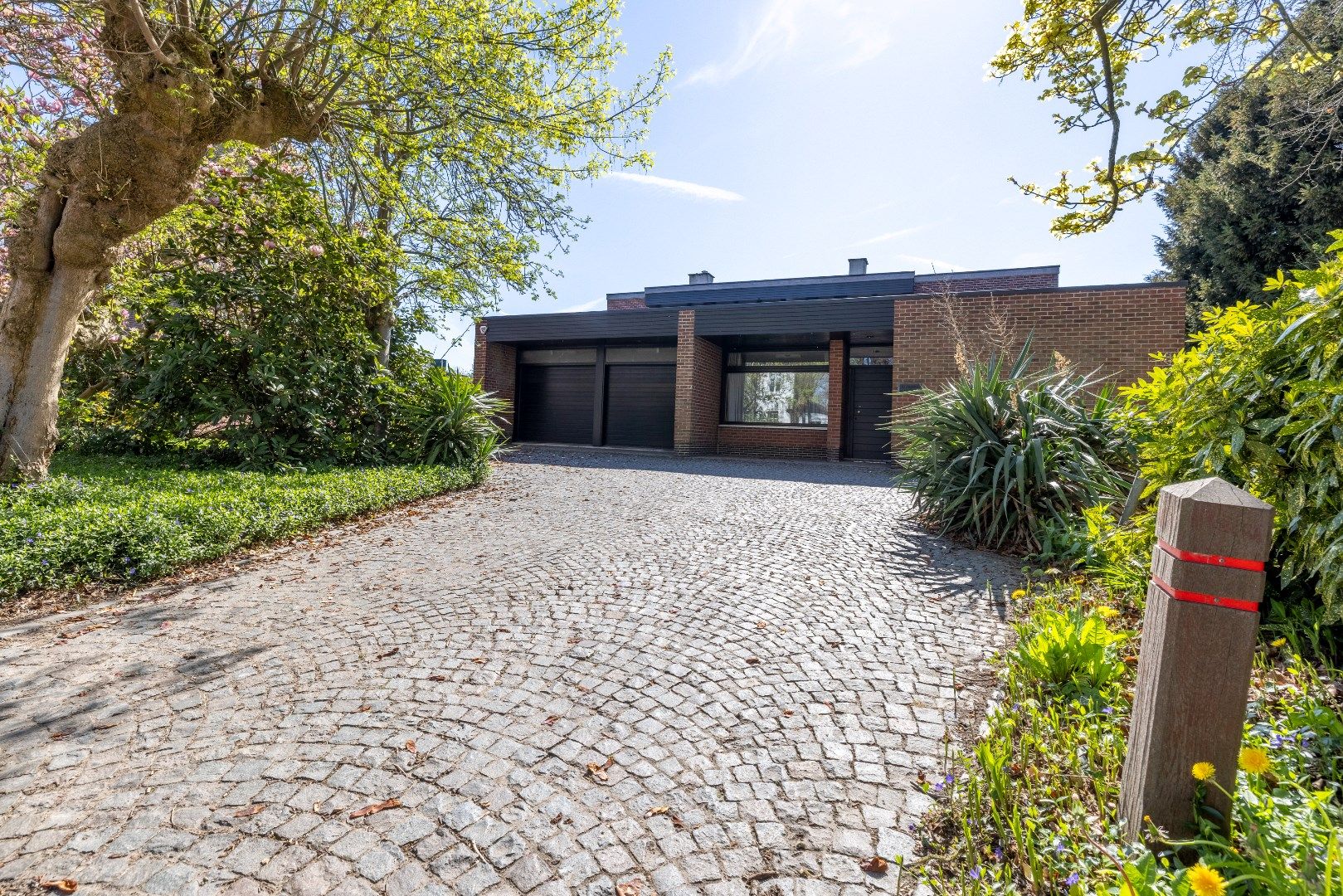 Voormalige dokterswoning met 5 slk, prachtige tuin (of extra bouwgrond) en praktijk foto {{pictureIndex}}