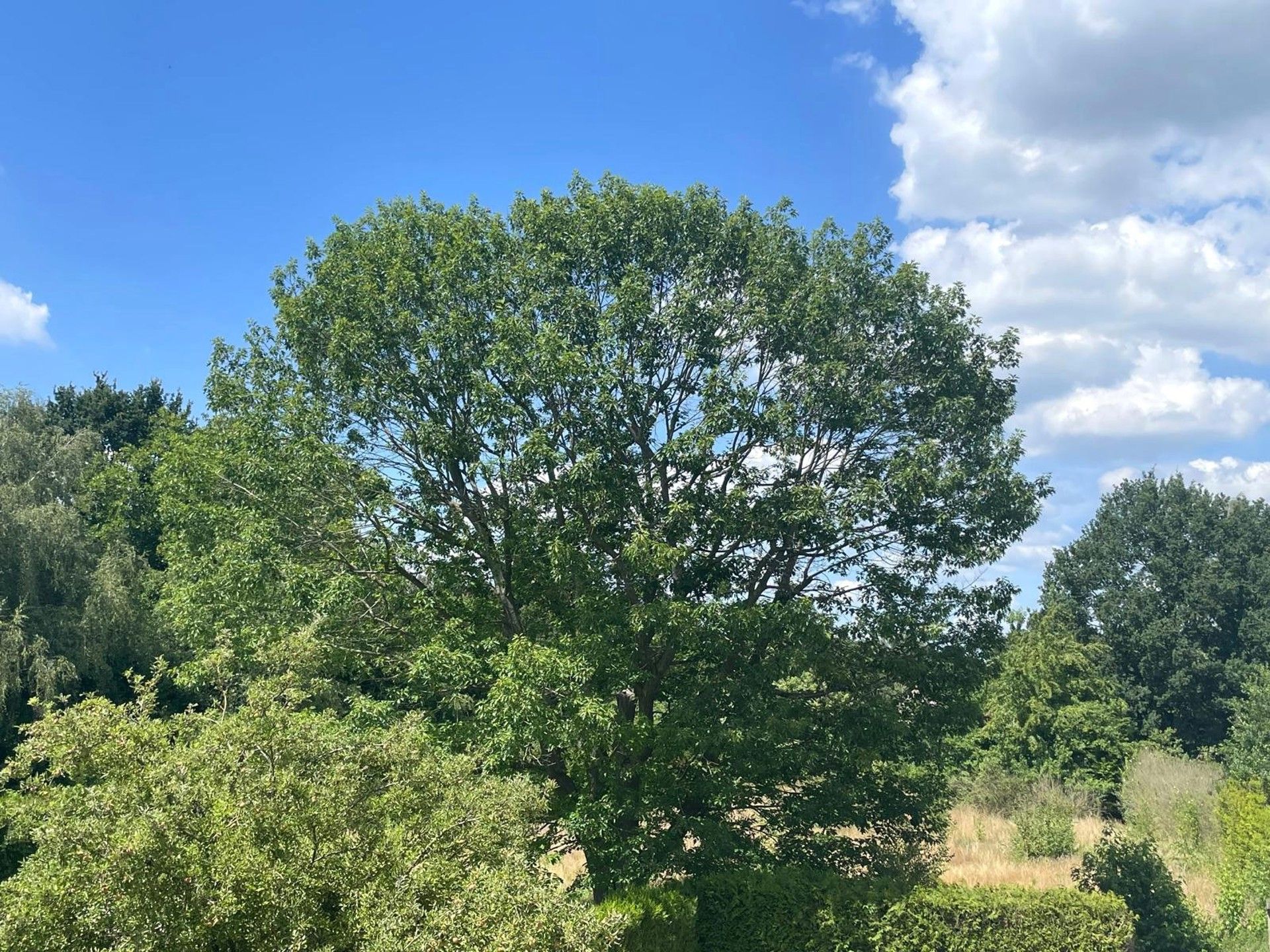 Gerenoveerd gelijkvloers appartement met 2 slaapkamers foto 15