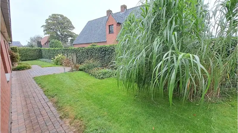 Gerenoveerde vrijstaande woning met Garage en Tuin te huur in Oedelem ( Beernem ) foto 15