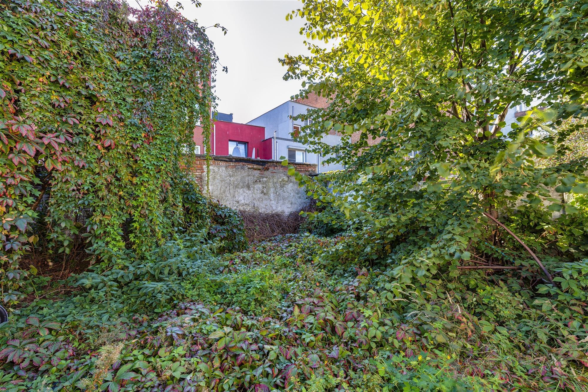 Handelsgelijkvloersca 180 m² met tuin van 70 m² foto 19