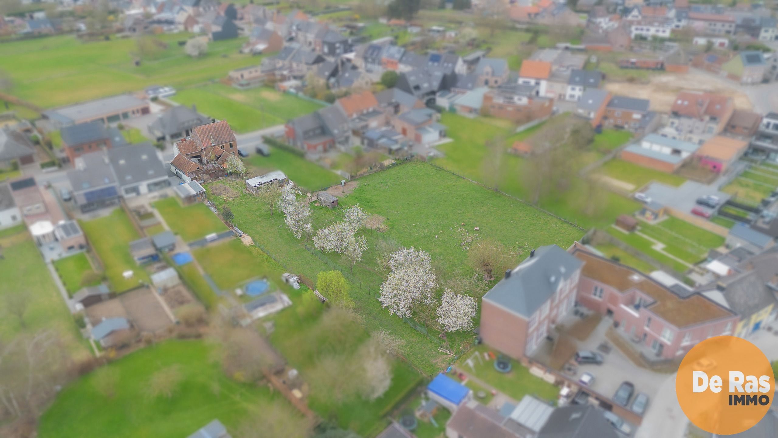 HAALTERT-  Renovatieproject met veel potentieel op 43a 84ca! foto 25